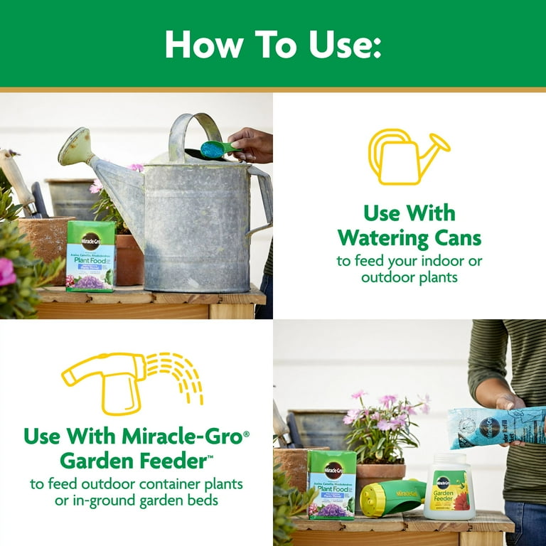 Miracle-Gro Water Soluble Azalea, Camellia, Rhododendron Plant