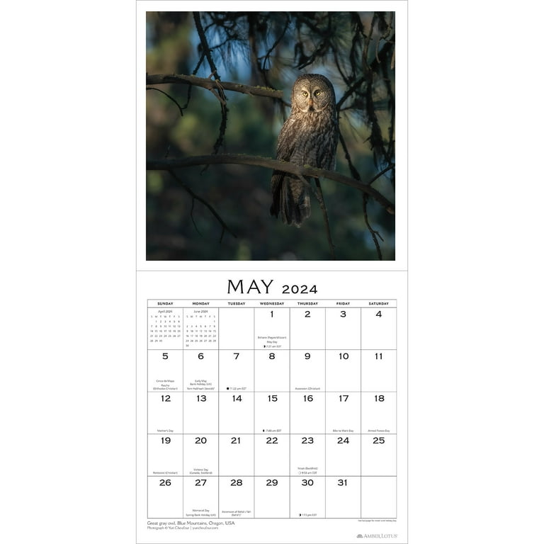  The Soul of the Forest 2023 Wall Calendar: Traveling the Globe,  Connecting the World, 12 x 24 Open