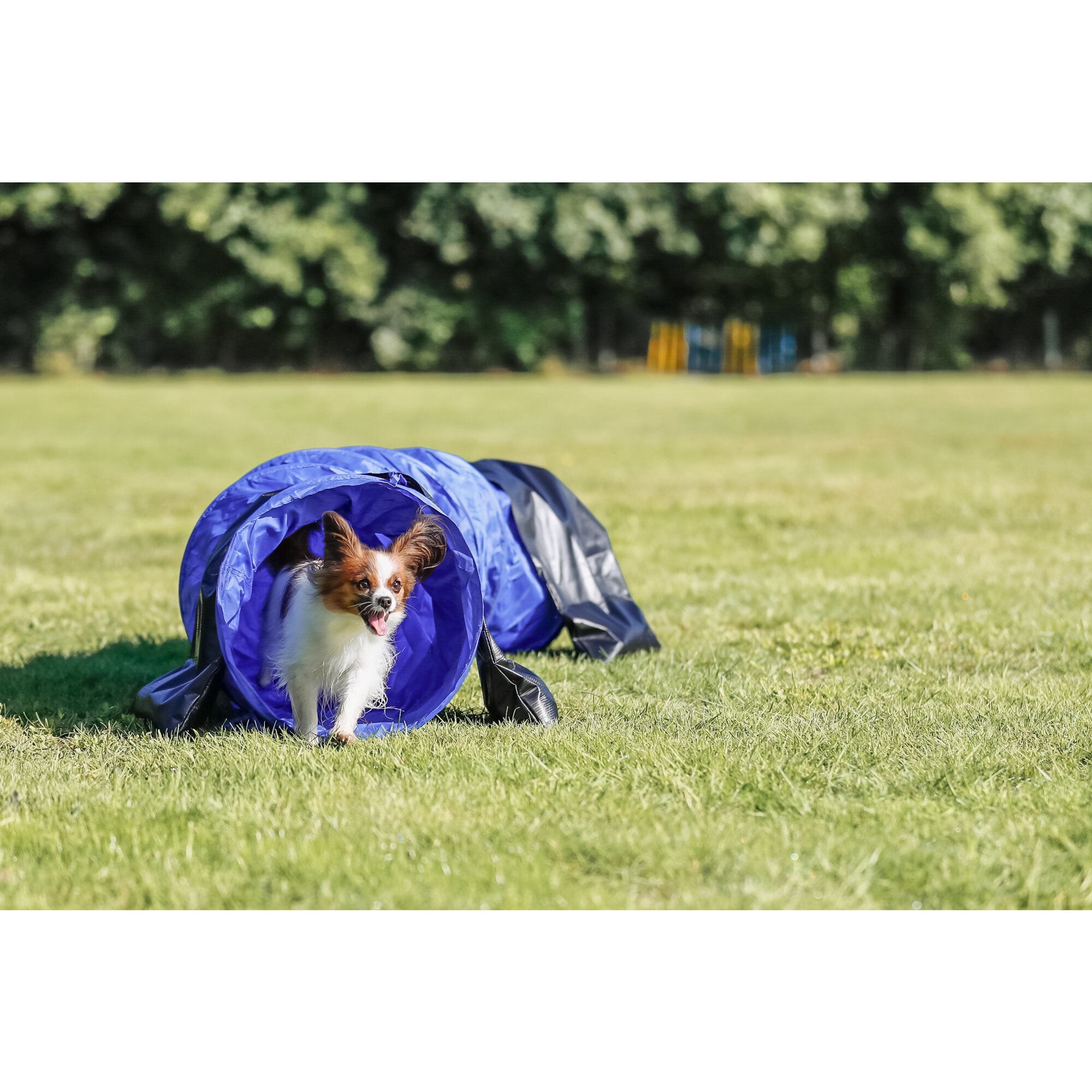 TRIXIE Dog Agility Tunnel 6.5', Portable Dog Training Tunnel, Obedience, Exercise Equipment
