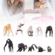 thumbnail image 5 of Juego de Modelos Animales ANGGREK 10 Piezas Adorno de Mono de Plástico Resistente Al Envejecimiento, 5 of 8