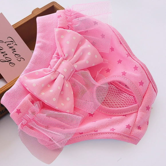 Fiudx Ropa Interior para Perros Princess, Diseño de Malla de Encaje Suave, Cómoda y Transpirable, Ideal para Viajes y Entrenamiento, Evita Marcas de Orina, Fácil de Usar, Disponible En Varios Tamaños