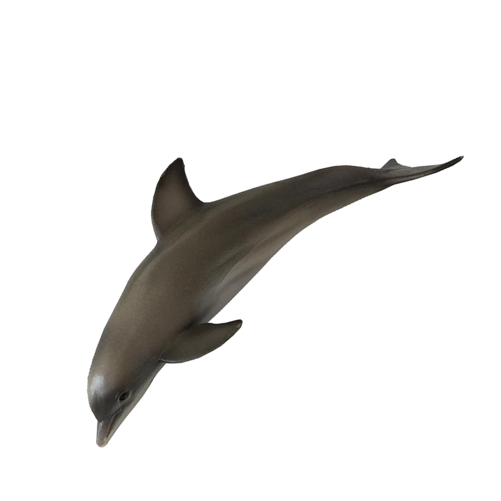 Creatures Action Model Sea Animal Education Cognitive Toy Dolphin