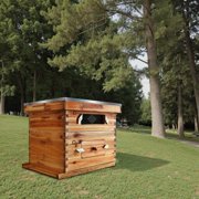 10 Frame Complete Beehive Kit for Beginners, Wax Coated Langstroth Hive Includes Deep & Medium Boxes with Acrylic Window Frames & Foundation – Beekeeping Starter Set