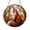 Acrylic 3.5 Inch, variant on Fox Themed Stained Glass Style Suncatcher for Window Decor, Forest Animal Fantasy Art, Autumn Woodland Hanging Decoration, Decorative Light Catcher