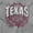 Sport Grey, variant on Texas TX Student Campus Pride Seal Men's Graphic T Shirt Tees Brisco Brands S