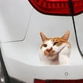 thumbnail image 2 of Car Stickers Car Stickers Funny Rear Window Stickers, 2 of 6