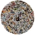 thumbnail image 2 of Dinosaur Stickers 100 Pcs Cool Aesthetic Stickers For Water Bottles Laptop Scrapbooks Guitars Luggage Bike Phone Skateboard - Teen Girl Kids Sticker, 2 of 5