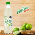 thumbnail image 4 of Agua mineral Peñafiel Adas sabor limonada 600 ml, 4 of 4