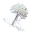 thumbnail image 1 of Matsuzay Ramo de boda romántico para dama de honor, novia, adorno falso, decoración de vestido, diseño de escena, ramos de flores blancas para Kits de decoración para fiestas Matsuzay HA035302-00, 1 of 6