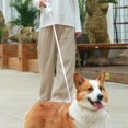 thumbnail image 4 of MesaSe Laisse Manuelle pour Chien Laisse de Course pour Chien Réutilisable Automatique Extensible Rétractable Laisse d'Entraînement pour Chien avec Lumière LED Sécurité Nocturne Laisse pour Chien Fournitures pour Chien, 4 of 11
