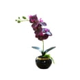 thumbnail image 1 of Cateissary Bonsái de flor de orquídea artificial, maceta de Phalaenopsis en maceta, figurita falsa para oficina, hogar, decoración interior y exterior Decoración Morado oscuro Cateissary HA084076-02, 1 of 6