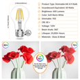thumbnail image 3 of Bombilla LED Qingmiao A19 E26 con base regulable de 4 W (paquete de 6), 3 of 7