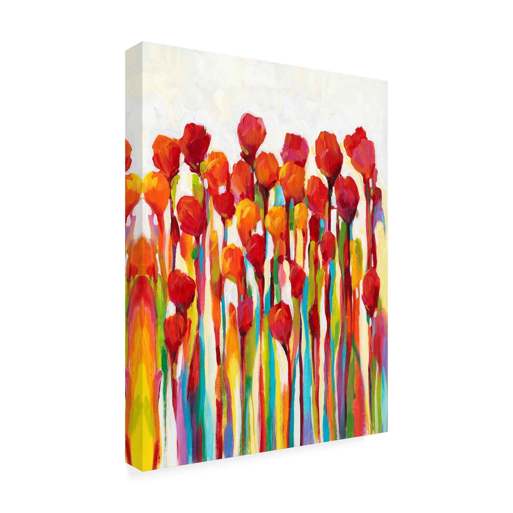 Bursting with Color I' Canvas Art by Tim OToole