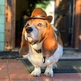 thumbnail image 4 of Sombrero de vaquero Perro Cosplay Sombrero Cachorro Perro Gato Fiesta Decoraciones JFHHH pequeña, 4 of 5