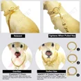 thumbnail image 2 of Nikpet Collar De Cadena Para Perro De 18 Quilates Con Eslabo, 2 of 7