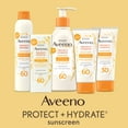 thumbnail image 4 of Aveeno Protect + Hydrate SPF 60 Full Body Sunscreen Lotion, 12 fl. oz, 4 of 6