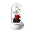 thumbnail image 1 of Eternal Rose Flower Aromatherapy Colorful Led USB Rechargeable Rose Plastic Dome Decoration, 1 of 9