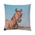 thumbnail image 2 of Ahgly Company Coussin Décoratif d'Extérieur Animaux Cheval, 18 Po X 18 Po, 2 of 6