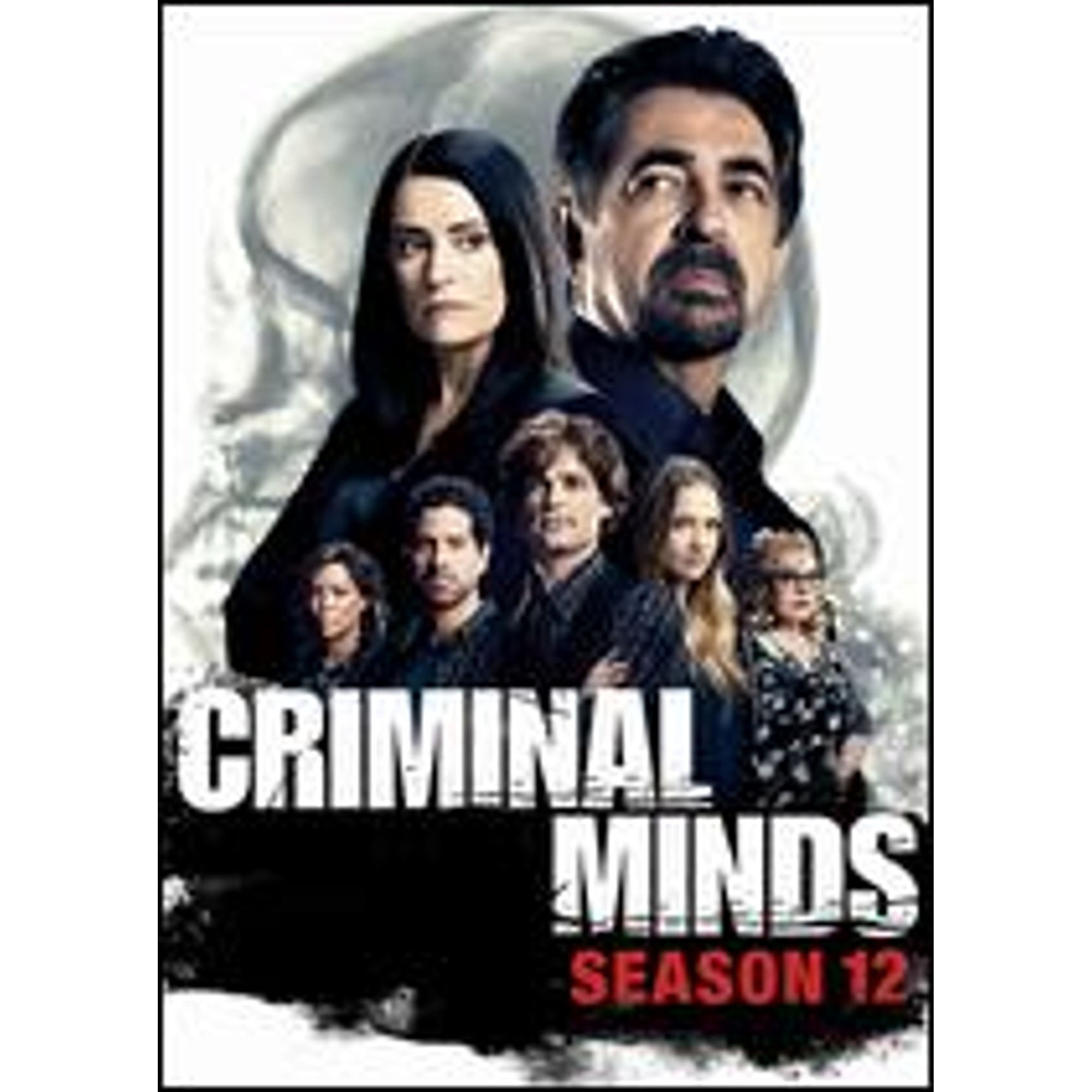 Criminal Minds: Season 10 (DVD), Paramount, Drama - Walmart.com