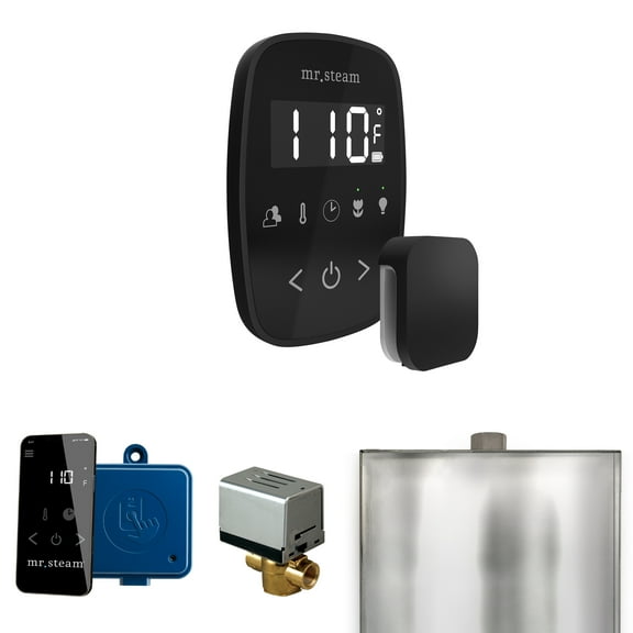 Mr Steam ButlerFlex Steam Shower Ctrl Pkg w/TempoFlex Control and Steamhead in Black Matte Black