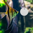 thumbnail image 1 of FUTUREORYY 1Jgo Para Betta Con Para De Acuarios Y Ambientes Naturales, 1 of 8