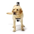 thumbnail image 4 of Arnes Para Perro Para Cámara Go Pro, 4 of 8