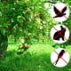 thumbnail image 4 of Red de aves, red de malla de jardín de 13x20 pies para protección de plantas, árboles frutales y ciervos, verde, 4 of 6