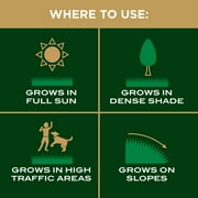 Scotts EZ Seed Patch & Repair Sun and Shade, 3.75 lbs., up to 85 sq. ft.