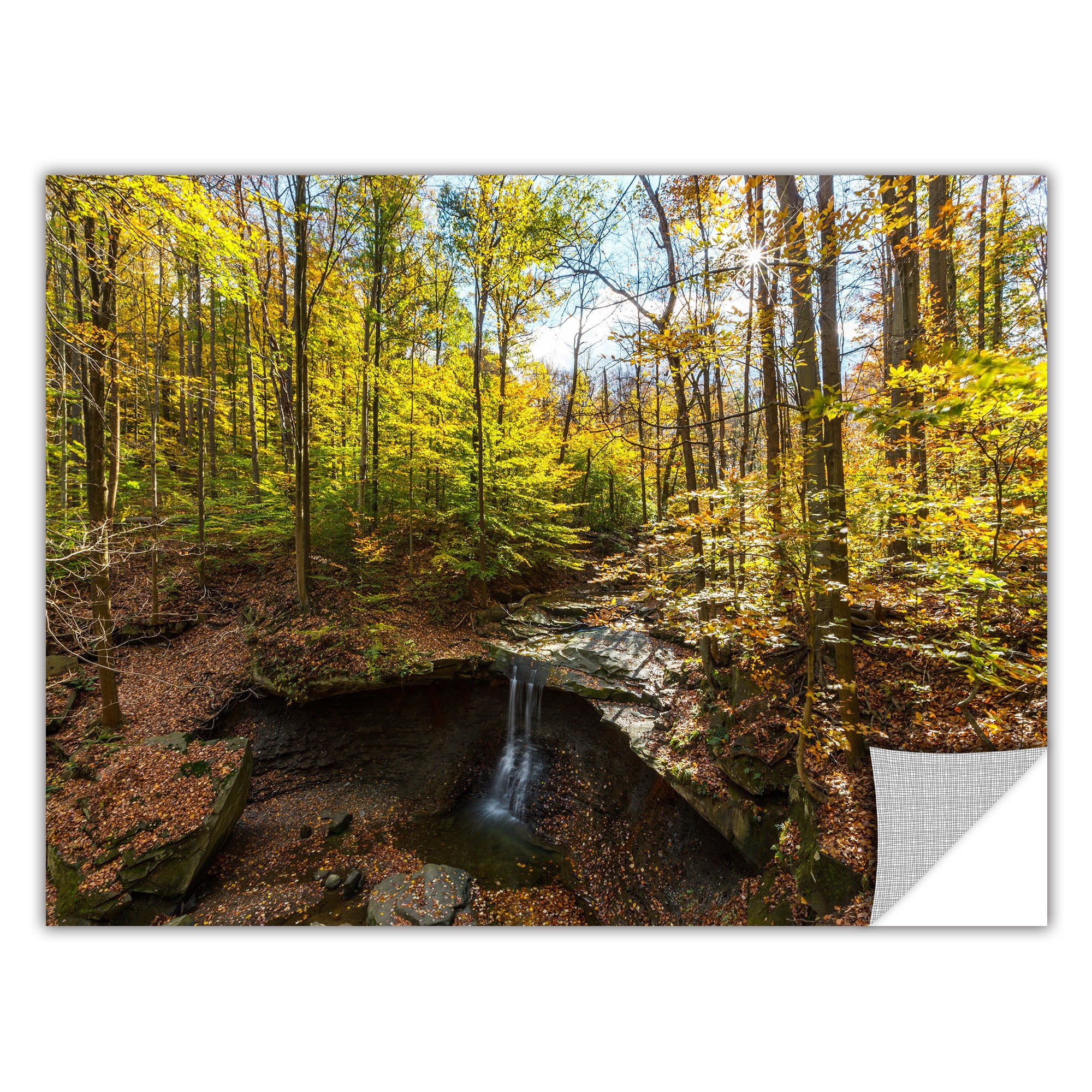 ArtWall Cody York " Blue Hen Falls " Art Appealz Removable Wall Art
