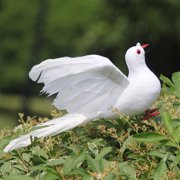Tineasur 1Pair Lifelike White Artificial Dove Figurine Made of Foam and Plastic for Garden Decor