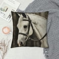 thumbnail image 2 of Creowell Horse Pillow Covers for Couch Sofa Indoor Outdoor Soft and Durable 1PC 18x18in, 2 of 5