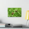 thumbnail image 4 of Slug Couple Slug Couple Print Animal Wall Art Wildlife Canvas Prints Wall Art Ready to Hang Unframed, 4 of 18