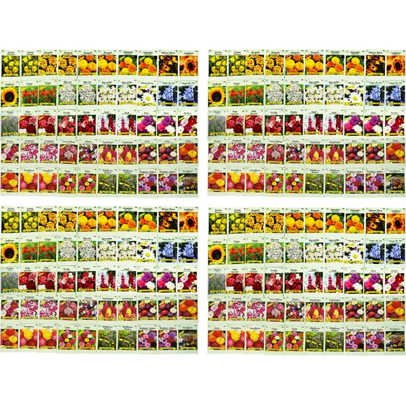 Ensemble de 200 Sachets de Graines de Fleurs Assorties en Vrac - 20 Variétés Disponibles