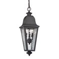 thumbnail image 1 of Forged Brookridge Collection 3 light outdoor pendant in Charcoal, 1 of 2