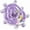 Purple, variant on Parakeet Toys,Bird Training Foraging Toys for Parrots,Wheel Spinner Quaker Parrot Toys,Interactive Educational Training Conures,Budgie Toys,Cockatiel Toys,Lovebird Toys,Sun Conure Toys (Pink)