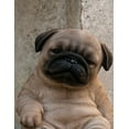 thumbnail image 3 of SLEEPY PUG STATUE de Chiot Assis, 3 of 4