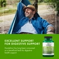 thumbnail image 3 of Swanson Milk Thistle, Dandelion & Yellow Dock - Herbal Liver Support Supplement - Natural Supplement Helping to Maintain Overall Health & Wellbeing - (120 Capsules) 1 Pack (2 Pack), 3 of 7