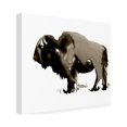 thumbnail image 2 of Jennifer Paxton Parker 'Monochrom Bison II' Canvas Art, 2 of 4