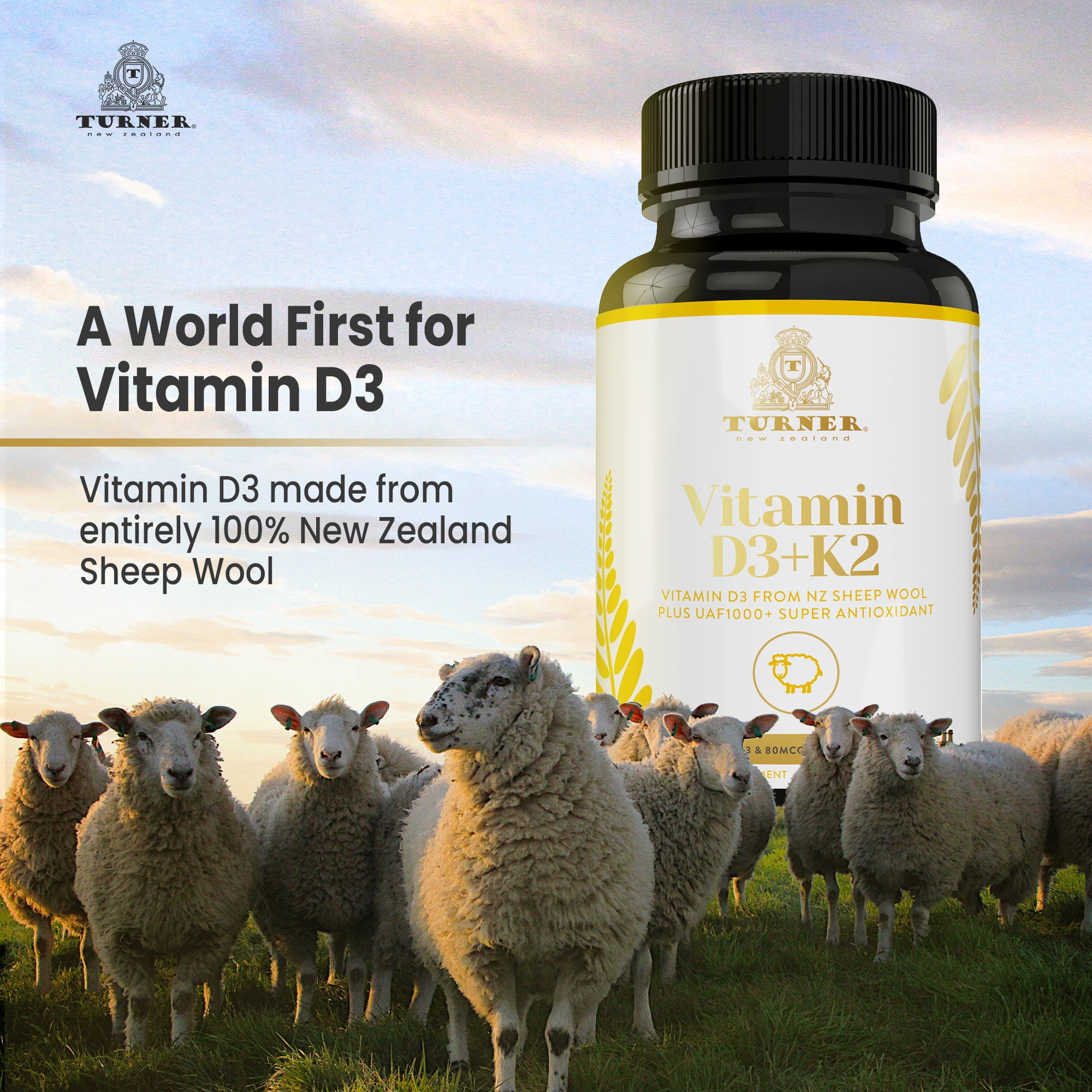 Buy TURNER Vitamin D3 2000IU and K2 2000IU, Pure Sheep Wool Antioxidant