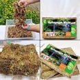 thumbnail image 3 of 1pack Natural Sphagnum Compressed Water Moss Orchid Gardening Plants Sphagnum, 3 of 4