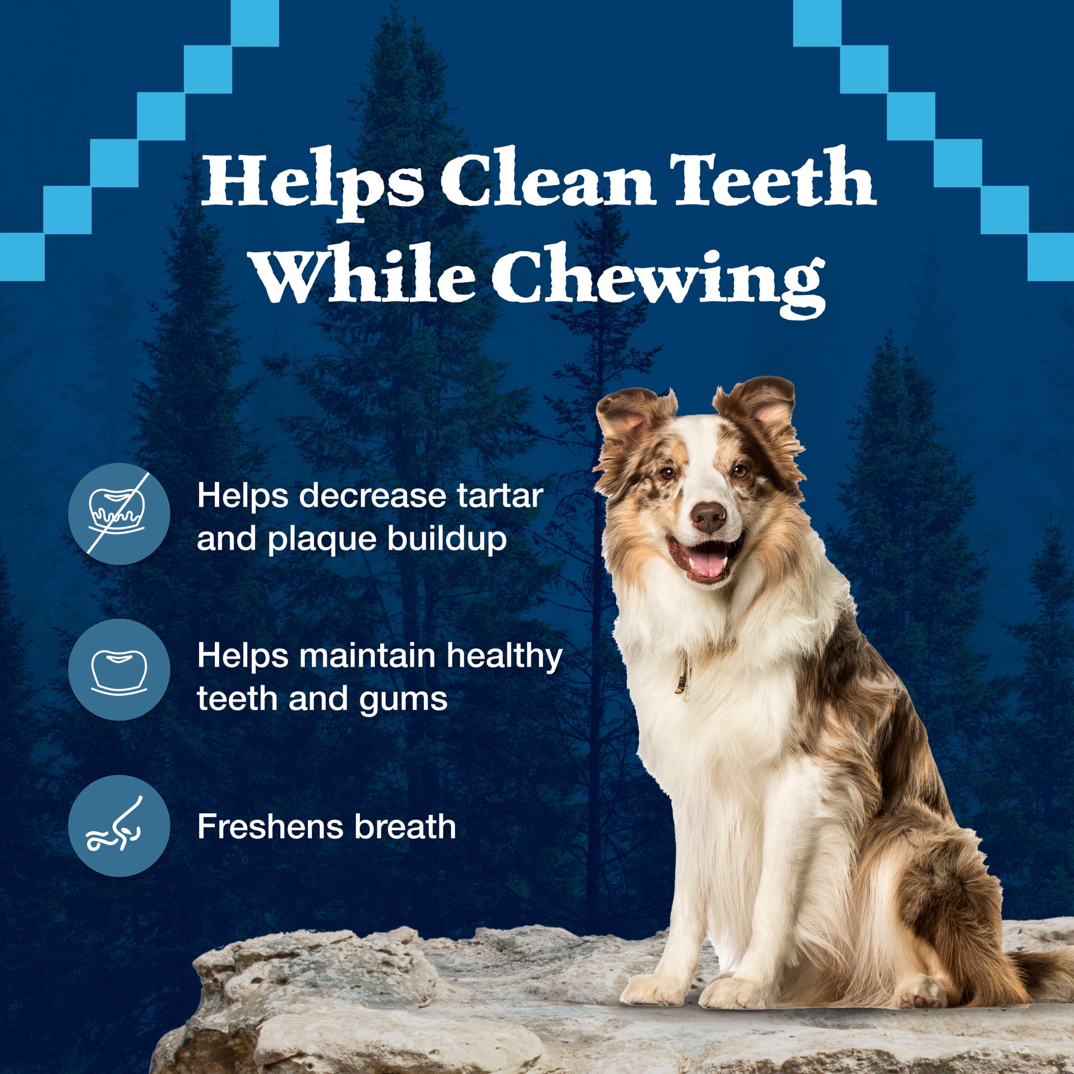 Blue Buffalo Wilderness Wild Bones Dental Chews Dog Treats, Regular, 27-oz Bag