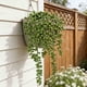 thumbnail image 1 of Plantas colgantes artificiales con enredaderas de follaje verde | Hiedra artificial para decorar paredes o estantes | Decoración para interiores y exteriores, hogar, jardín, oficina y bodas, 1 of 9