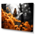thumbnail image 2 of Designart "Orange Grey Butterfly Fluttering beauty" Animals Wall Decor, 2 of 5