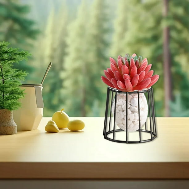 Jarrón de flores de vidrio hidropónico Soporte de hierro de mesa | Jardinera decorativa transparente moderna | Para sala de estar, dormitorio, estudio | Contenedor de plantas acuáticas de interior |