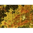thumbnail image 1 of Ahgly Company Machine Washable Indoor Rectangle Oriental Yellow Industrial Area Rugs, 4' x 6', 1 of 4