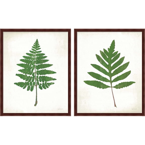 Great Art Now Chalkboard Fern Green by Sue Schlabach, 2 Piece Framed Art Set Each 17.25"W x 21.25"H