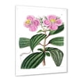 thumbnail image 2 of Designart 'Ancient Plant Life XXIII' Traditional Framed Art Print, 2 of 4