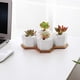 thumbnail image 4 of Pequeñas macetas suculentas blancas con bandeja de bambú, juego hexagonal de 4, contenedor geométrico para plantas de cactus para decoración de escritorio de mesa de oficina en casa, 4 of 5