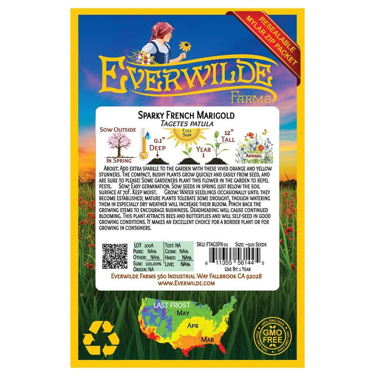 Everwilde Farms - 500 Sparky Mix French Marigold Garden Flower Seeds - Gold Vault Jumbo Bulk Seed Packet Everwilde Farms - 500 Sparky Mix French Marigold Garden Flower Seeds - Gold Vault Jumbo Bulk Seed Packet