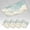 Color 2, variant on 4 Pack Magnetic Ceiling Light Covers 2 x 4 Feet, Soft Blush Peony Close Up Delicate Petals Romantic Floral Light Shades & Filters for Office Classroom Drop Ceiling Flat Panel Lights